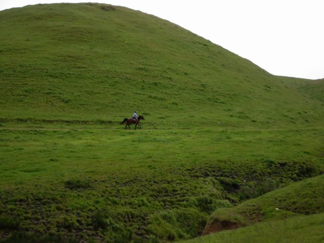 Trail ride