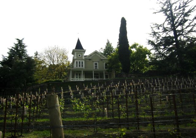 St. Clement Vineyard