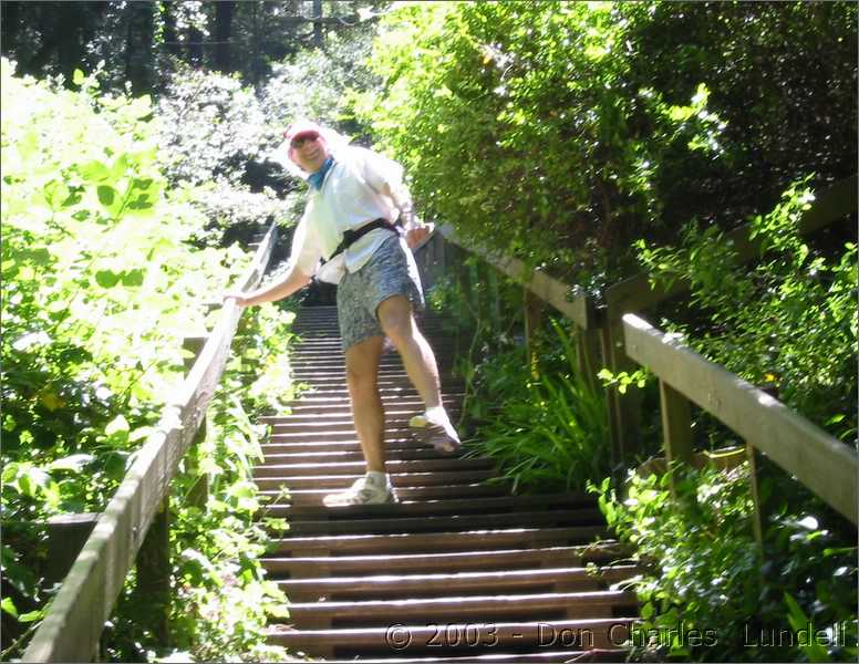 Bob enjoying himself on the stairs