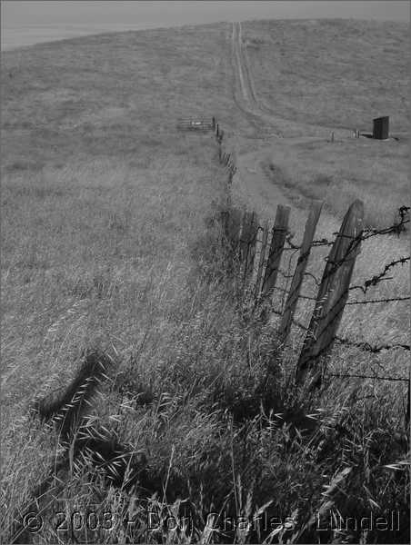 Ranch fence