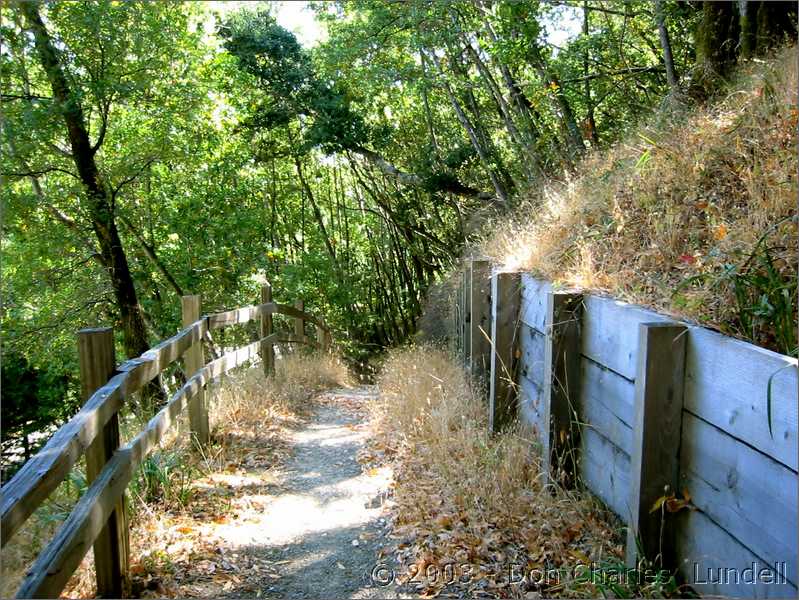 Descending to Vineyard Road