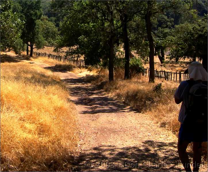 Dutch Flat Trail