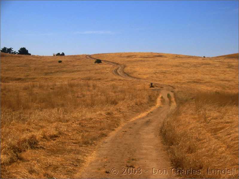 On through Russian Ridge