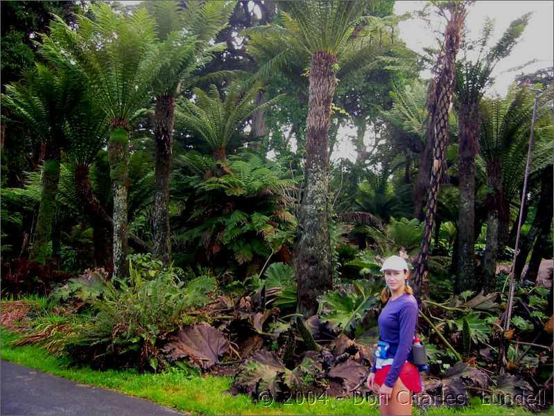 Gillian in the rain forest