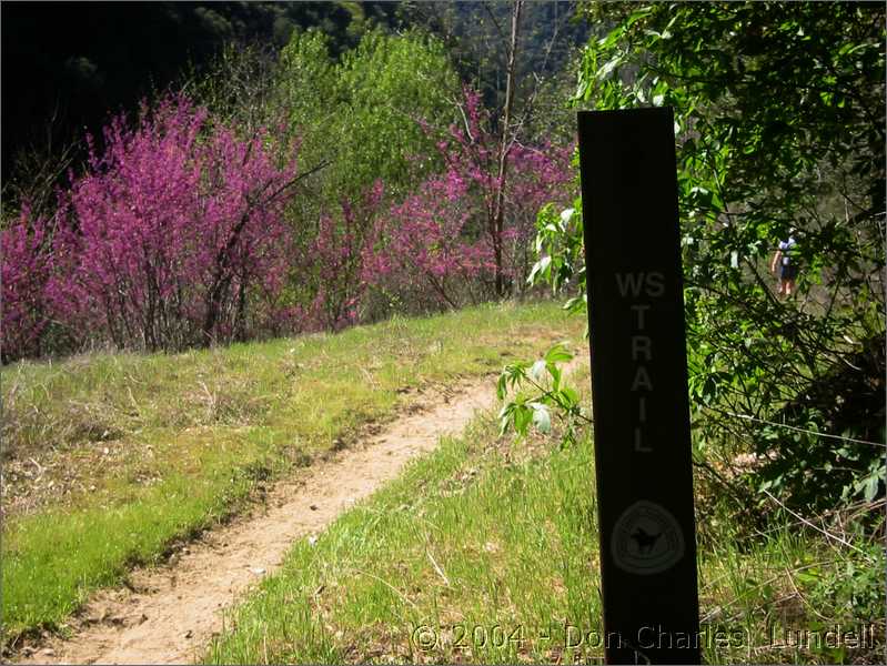 Western States Trail