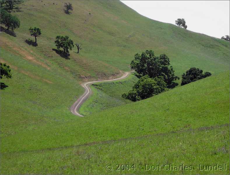 Lovely hills