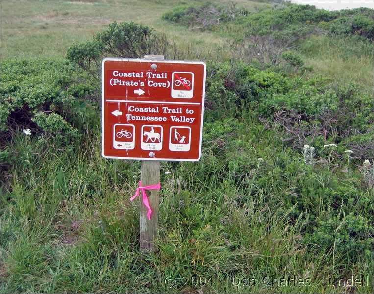 Ocean... that way