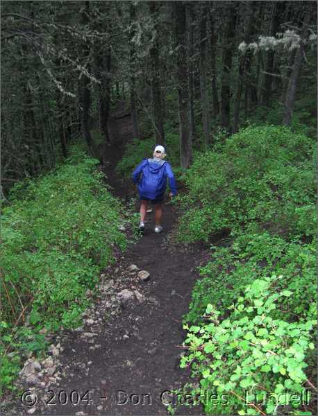 One steep downhill