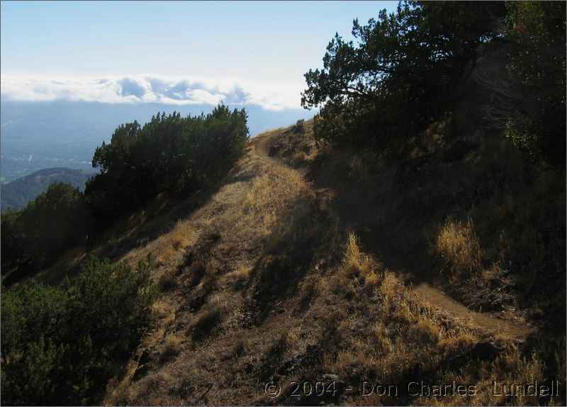 A bit more single-track