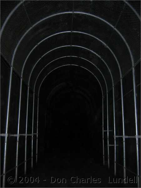 The wonderful tunnel