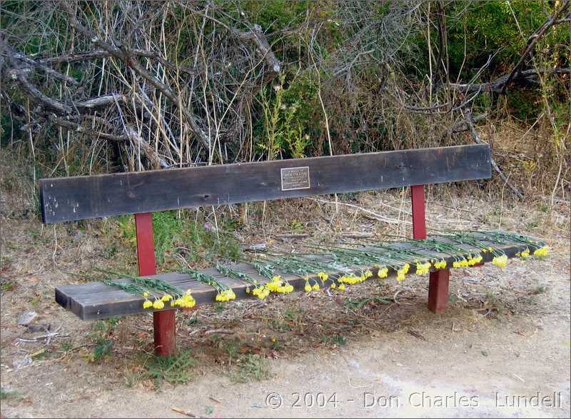 Dick Collins memorial bench