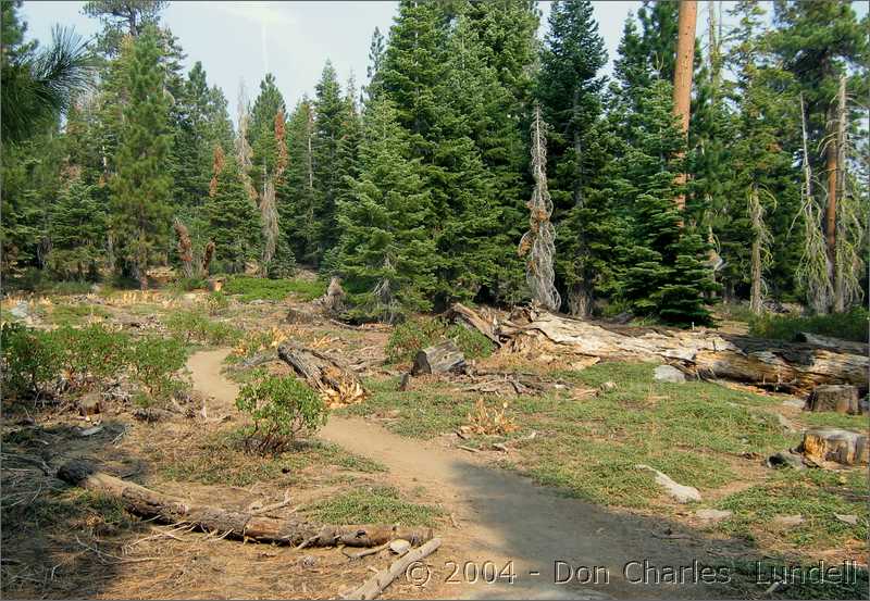 Mountain trail