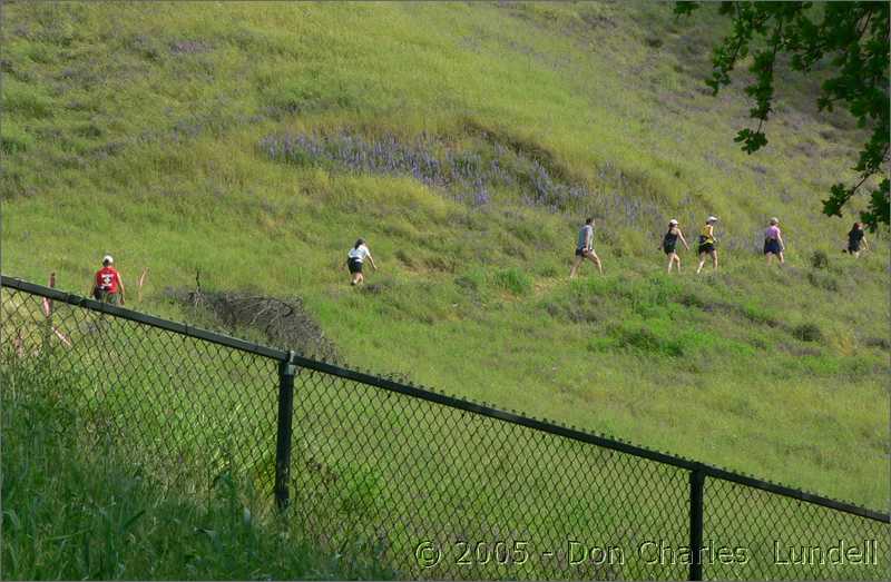 Climbing to the Overlook aid station