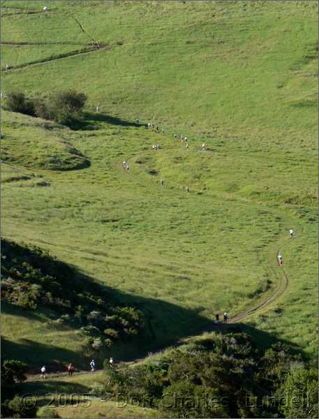 Peak Meadow trail