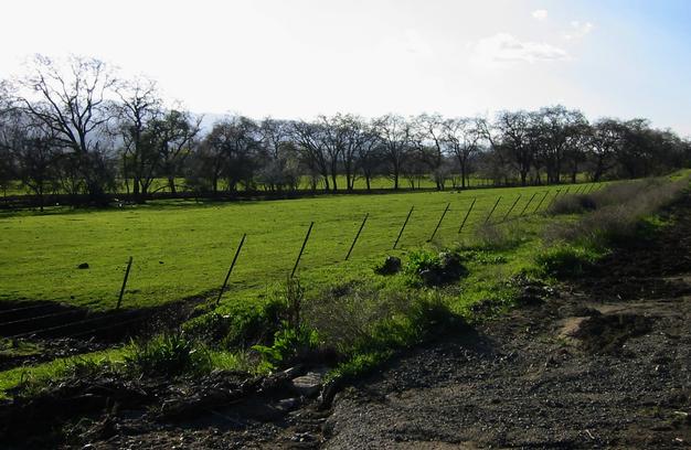 Calera Creek Trail