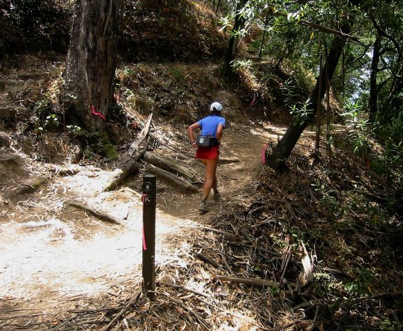 Trail intersection