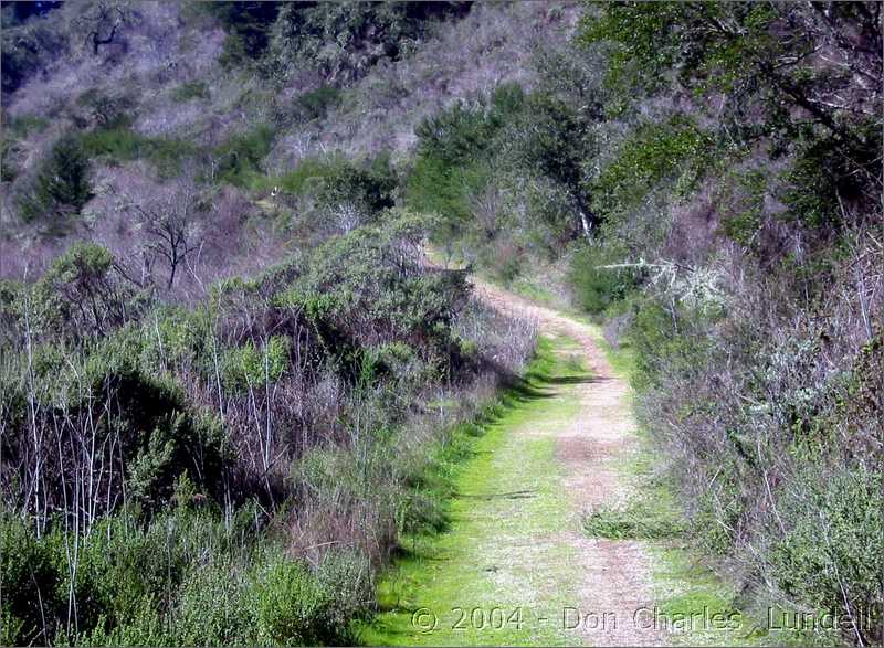 Harkins Ridge Trail