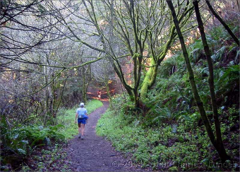 Whittemore Gulch Trail