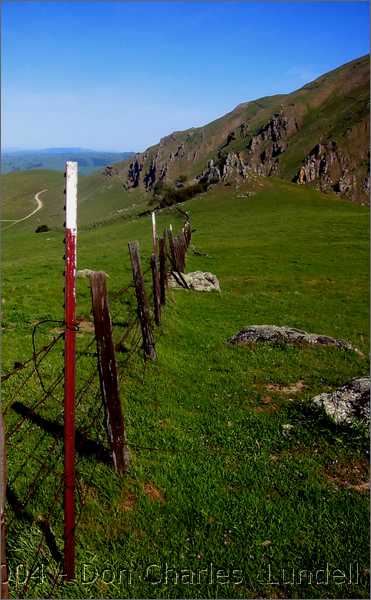 Fence line