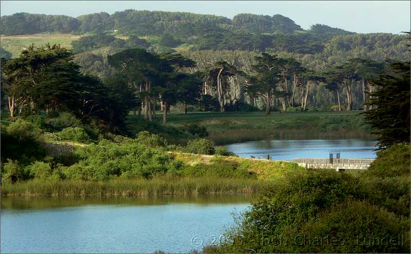 Lake Merced morning