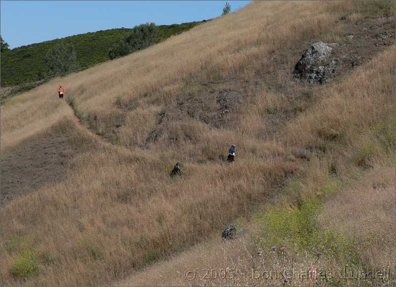 Across the hillside