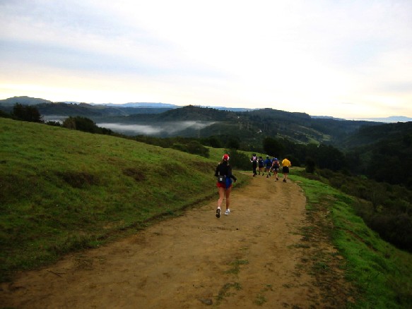 Fog-shrouded Valley