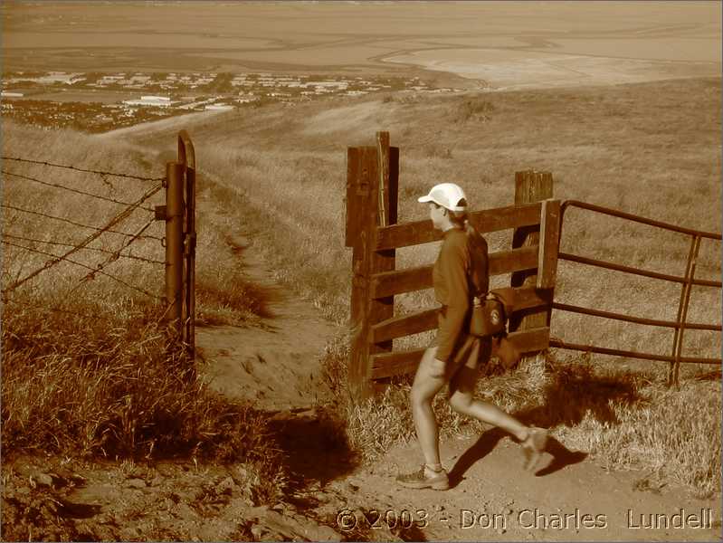 Through the gate