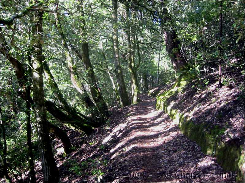 Crystal Springs Trail