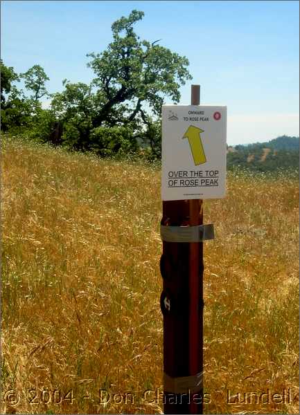 To the top of Rose Peak