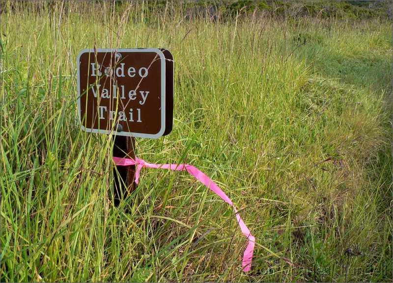 Rodeo Valley Trail