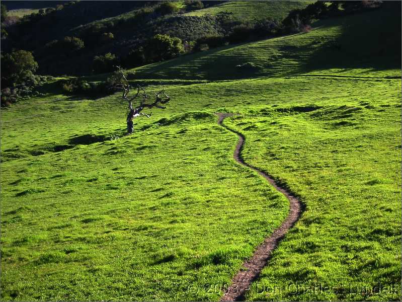 Horse Heaven Trail