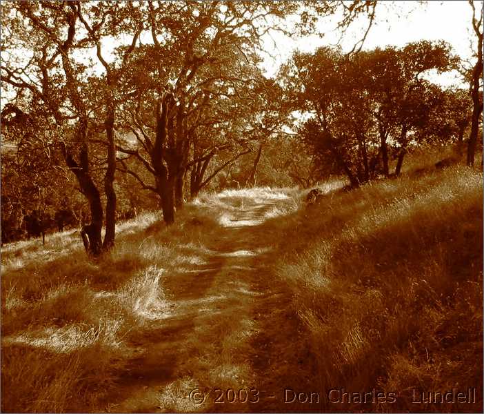 Skyline Wilderness Park