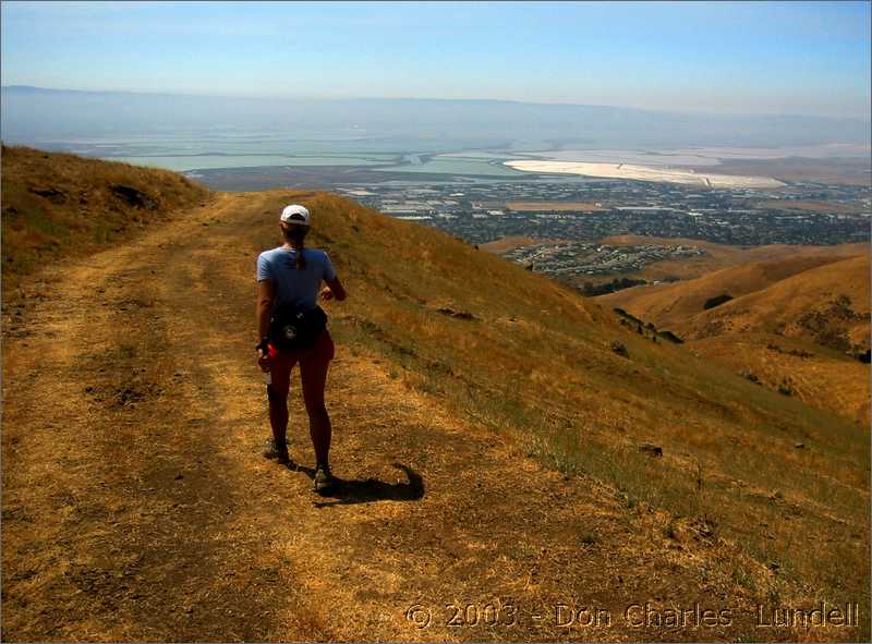 Ridge Trail, looking across the Bay