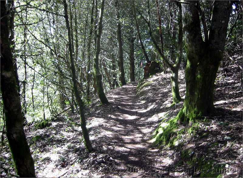 Another uphill trail