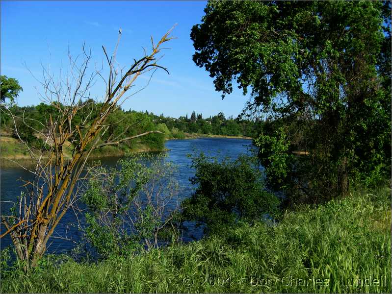 Bend in the river