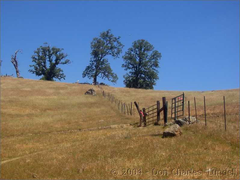 Through the gate