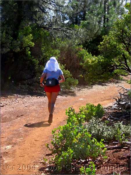 On to Volcano Canyon