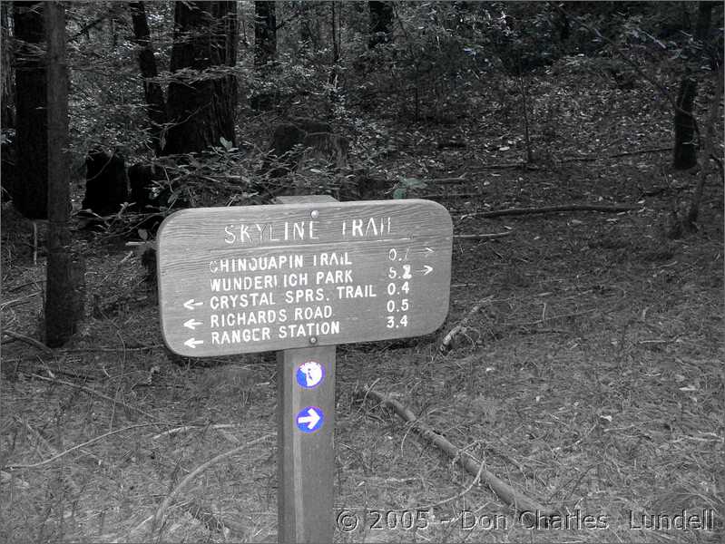 Crossing Skyline Trail