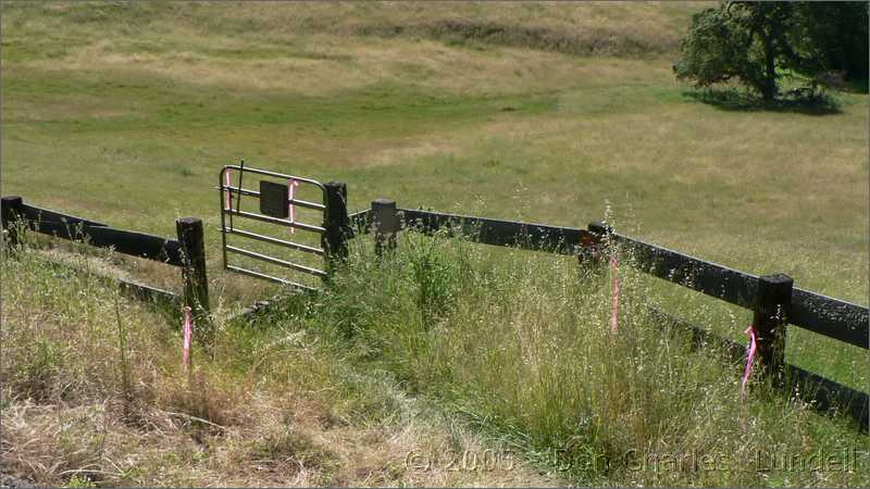 Through the gate